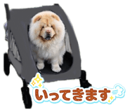 830105187