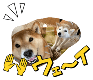 830117430