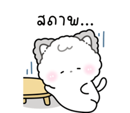 ลายที่ 13