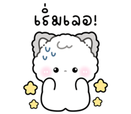 ลายที่ 19