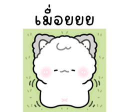 ลายที่ 45