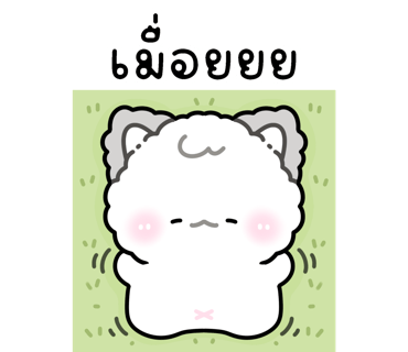 ลายที่ 23