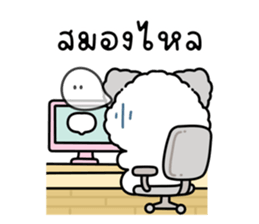 ลายที่ 51