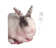 830128280