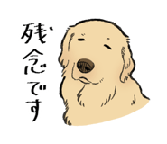 830135300