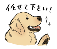 830135309