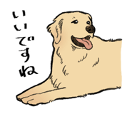830135315
