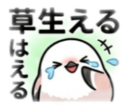 830137387
