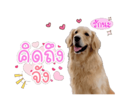 830154055