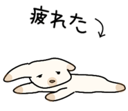 830193244