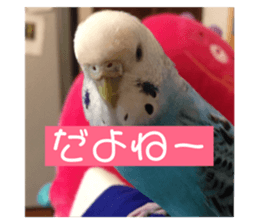 83021081