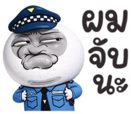 ลายที่ 19