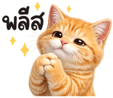 ลายที่ 4