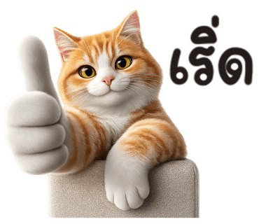 ลายที่ 13