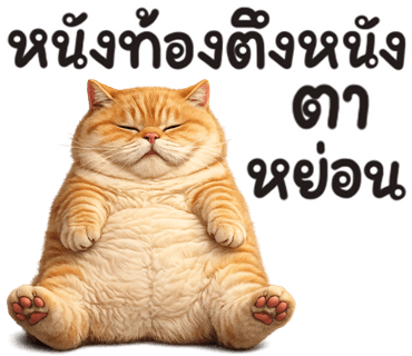 ลายที่ 27
