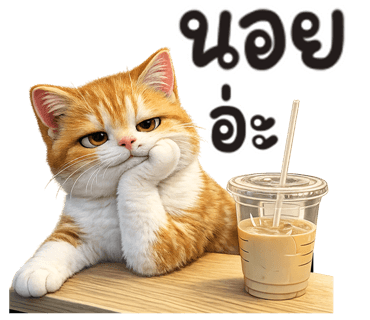ลายที่ 31