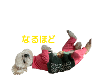 830244113