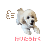 830244130