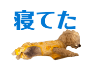 830244132