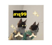 830267436