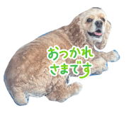 830283005