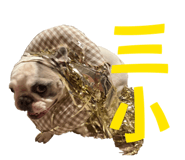 830302706
