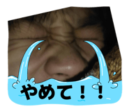 830309380
