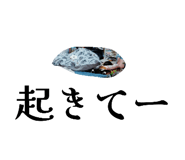830315732
