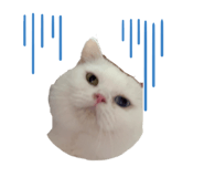 830316541