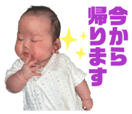 830328300