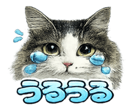 830329833