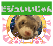 830335387
