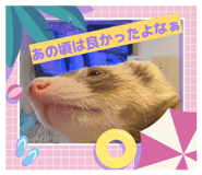 830335391