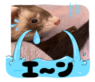 830335396