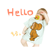 83033606
