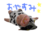 83033607