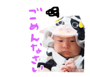 83033611