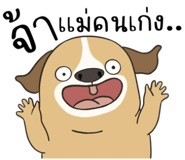 830340217