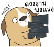 830340225
