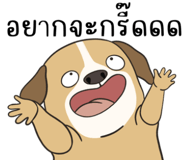 830340228