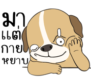 830340237