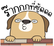 830340251
