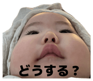 830374090