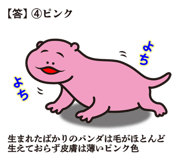 830374210