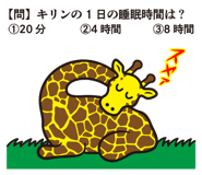 830374211