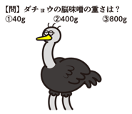 830374229