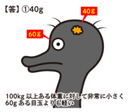 830374230