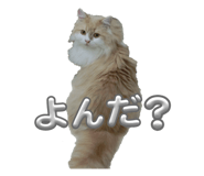 830379562