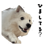 830382788