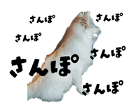 830382791